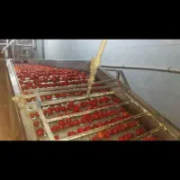 مرکز تولید و پخش رب گوجه شیره انگور و خرما|عمدهفروشی|خرمآباد, |دیوار