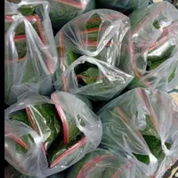سبزیجات|خوردنی و آشامیدنی|مشهد, شهرک مهر آباد|دیوار