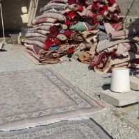 قالیشویی پاکان|خدمات نظافت|اسلام‌شهر, شهرک واوان|دیوار