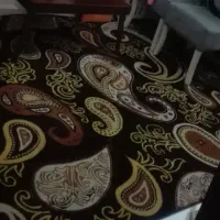 گلیم فرش  ۲عدد نو بسیار لطیف