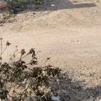 چندین قطعه زمین و خونه در متراژ های مختلف و ارزون