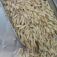 جو خارجی در حد جو محلی