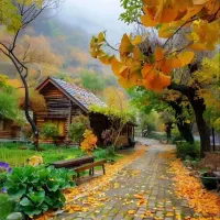 نیازمند ضامن مهربانی(شخصی)