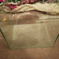 آکواریوم شیشه خم|ماهی|قزوین, |دیوار