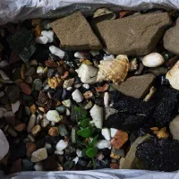 پمپ اکواریوم سنگ صدف|ماهی|آبادان, |دیوار