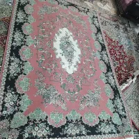 فرش 2.3|فرش|مشهد, سرافرازان|دیوار