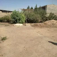 فروش زمین ۱۶۲ متری در کوه سفید