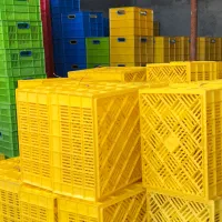 سبد پلاستیکی|ظروف نگهدارنده، پلاستیکی، یکبارمصرف|تبریز, |دیوار