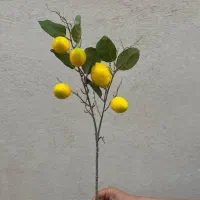 شاخه لیمو مصنوعی