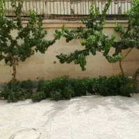 مشارکت ۲۶۴ متری بر بلوار استقلال
