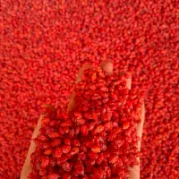زرشک پفکی درجه یک خراسان جنوبی