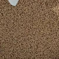 خوراک دام پرواری گوسفند بز گاو اسب شیری داشتی|لوازم جانبی حیوانات|رباطکریم, یقه|دیوار