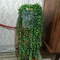 گلدان مصنوعی شیک