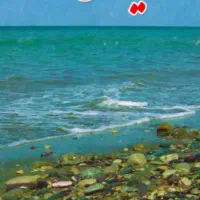 تدریس کلیه دروس مقطع ابتدایی