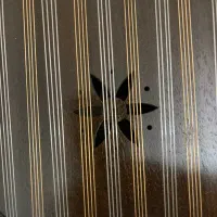 سنتور دو مهر احد مسعودی|سازهای سنتی|تبریز, |دیوار