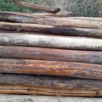 فروش تیرچوب ودرب