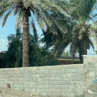 14-قصب-مسکونی-فاز-یک-بلوار-بعثت