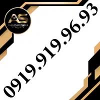 0919.919.96.93