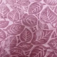 یک پارچه چادری پیداشده