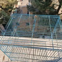 قفس|لوازم جانبی حیوانات|شهریار, شهرک بهاران (ویره)|دیوار