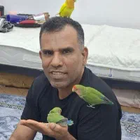 طوطی برزیلی گم شده