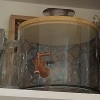 سالم ونو|سرویس روتختی|گلبهار, شهر جدید گلبهار|دیوار