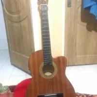 گیتار پیکاپ خور خارجی مارک لورنزو