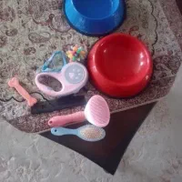 لوازم جانبی سگ