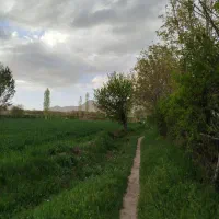 فروش باغ و زمین هرسین زیر بیمارستان