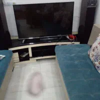 تلویزیون ایکس ویژن ۵۰ اینچ