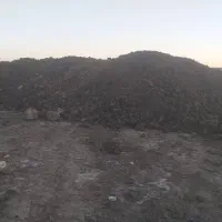 کود حیوانی گاوی خالص|خدمات باغبانی و درختکاری|فامنین, |دیوار