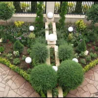 باغبانی در تمام نقاط تهران گل کاری حرس خاک گلدون