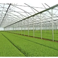 زمین گلخانه داخل شهرک گلخانه ای