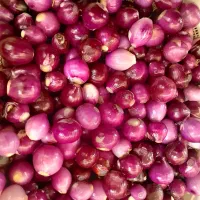 پیاز بنفش
