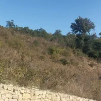 ترکیه کارگر ساده بتن ریزی