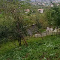 فرش-زمین-باغات