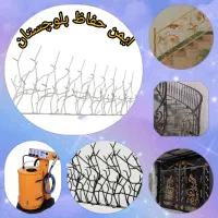 ایمن حفاظ بلوچستان