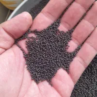 بذر کلزا رقم تراپر دستی