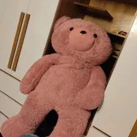 خرس 2 متر