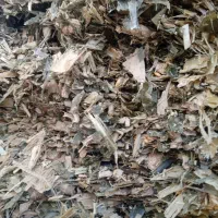 ذرت علوفه|عمده‌فروشی|قره چای, |دیوار