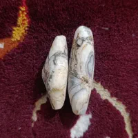 پیام بدین|کلکسیون و سرگرمی|بندر ماهشهر, |دیوار