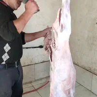 قصاب وذبح گوسفند وتمیز کردن کله پاچه شبانه روزی