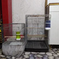 وسایل پرنده تکمیل