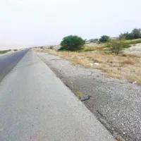 زمین-کشاورزی-دیمی-غرب-روستای-گنخک-شمالی