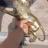 دوتا مجسمه شیربرنز|فعالیت داوطلبانه|صباشهر, |دیوار