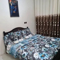 اجاره آپارتمان های مجلل در تمام مناطق تهران|اجارهٔ کوتاهمدت آپارتمان و سوئیت|تهران, تهرانسر شمالی|دیوار