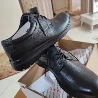 کفش مردانه|کیف، کفش، کمربند|کرج, برغان|دیوار