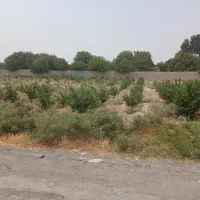 تهاتر زمین با ملک یا ماشین امیریه میدان کوزه|فروش زمین و ملک کلنگی|شهریار, شهرک امیریه|دیوار
