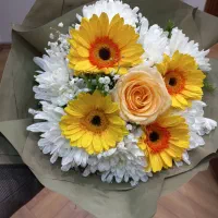 استخدام منشی در دفتر وکالت