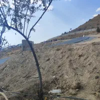 راننده پایه دوم مینی بوس